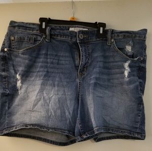 Torrid Denim Shorts